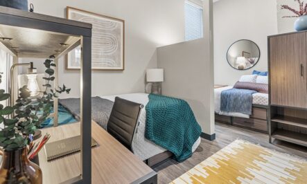 Apartments  Gallery - 3