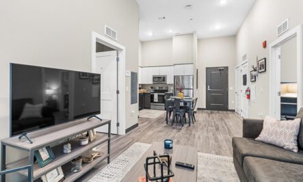 Apartments  Gallery - 4