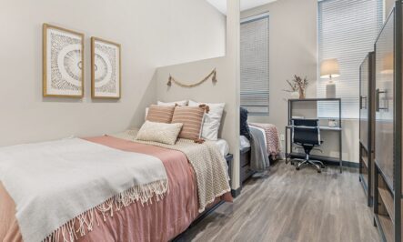 Apartments  Gallery - 8