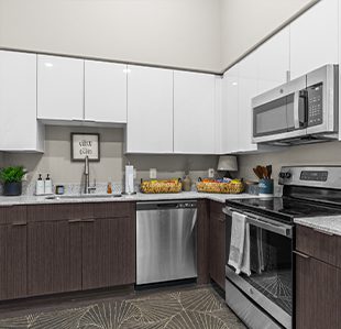 Contemporary Apartments - Image 03